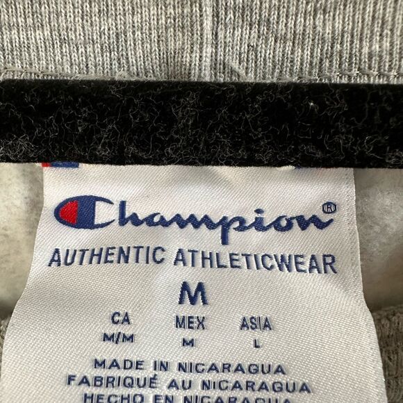 Champion Powerblend Grey Heather Sweat Pants Women’s M STYLE#: GF937 023 - Picture 4 of 6